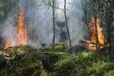 Incendi boschivi - Dal 1° luglio attiva la fase di attenzione su tutto il territorio regionale