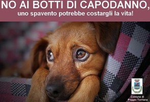 No ai botti di Capodanno