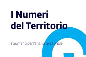 Sistema informativo annuale “I Numeri del Territorio”