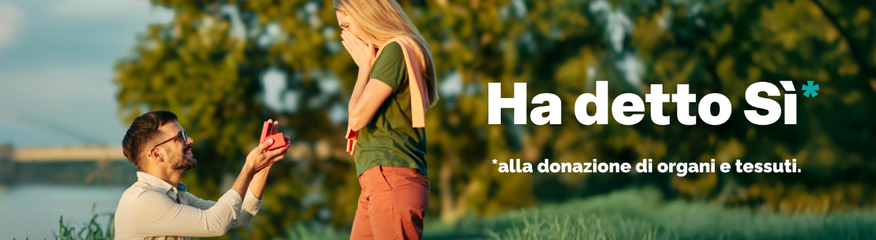 ha detto sì 1240 x 340