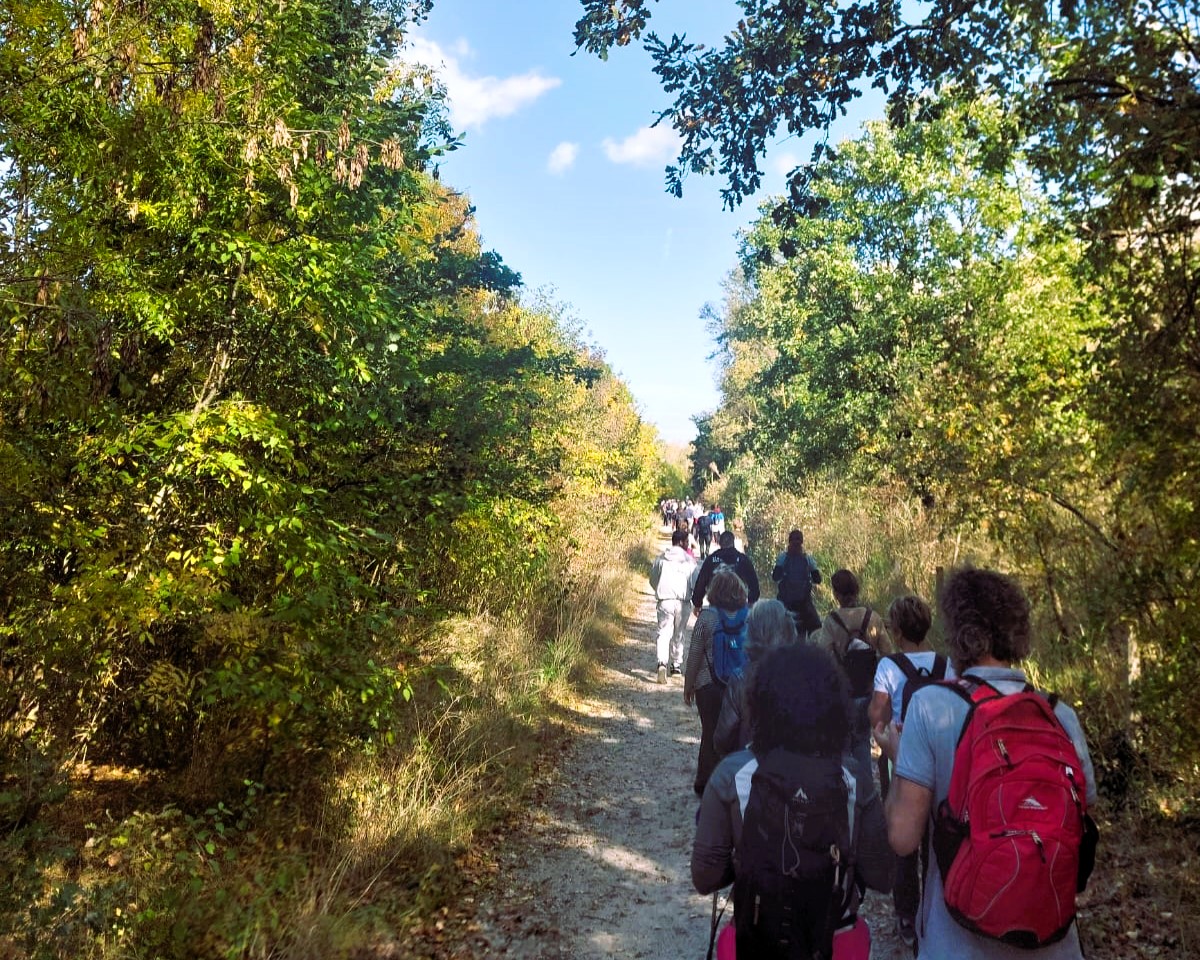 descrizione immagine