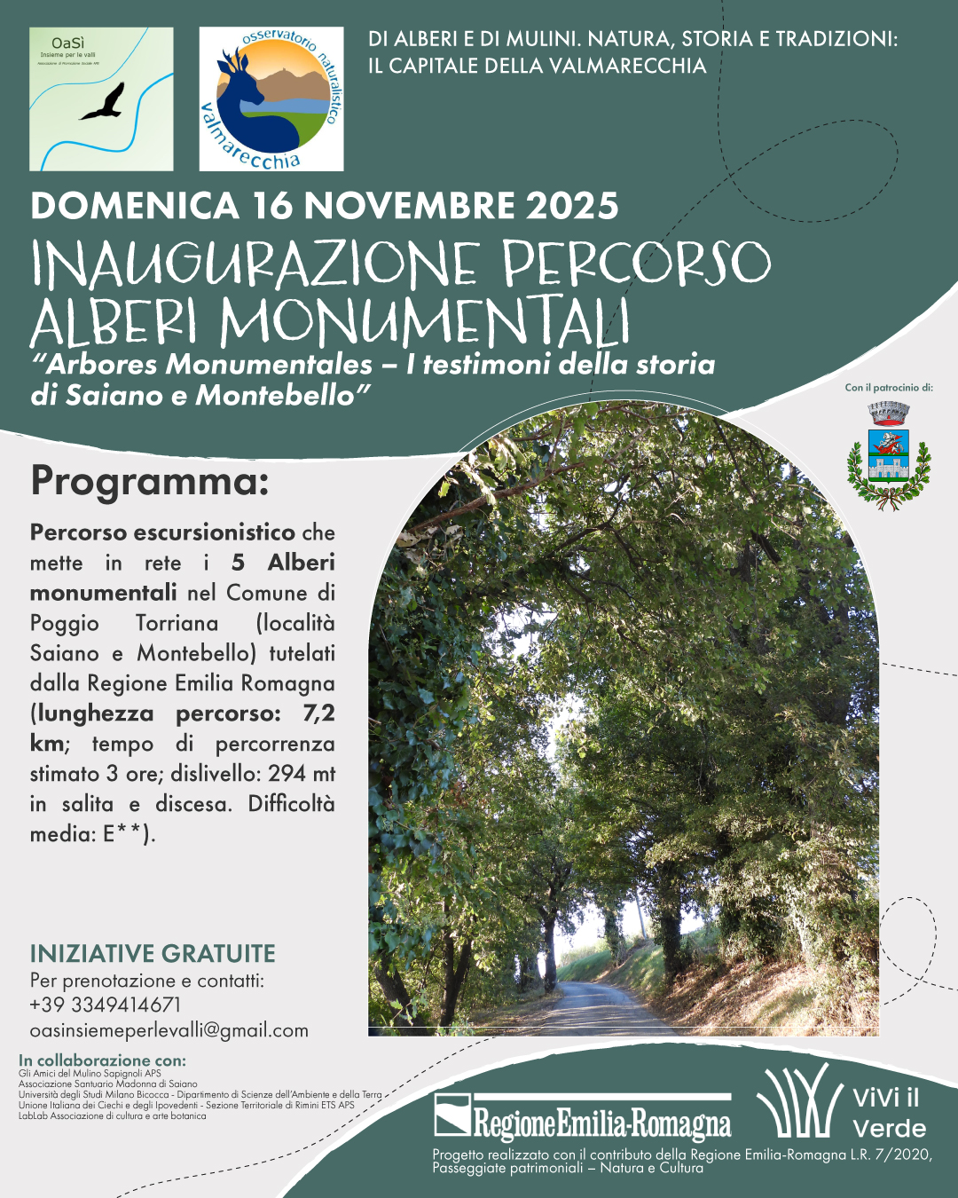 descrizione immagine