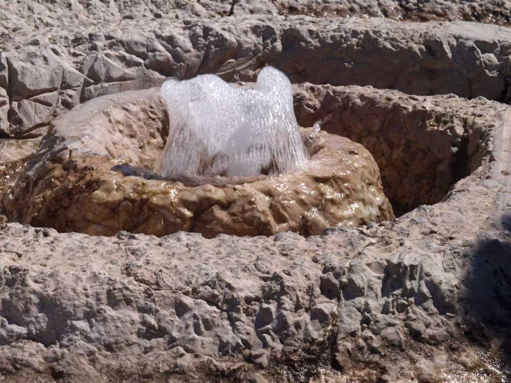 descrizione immagine