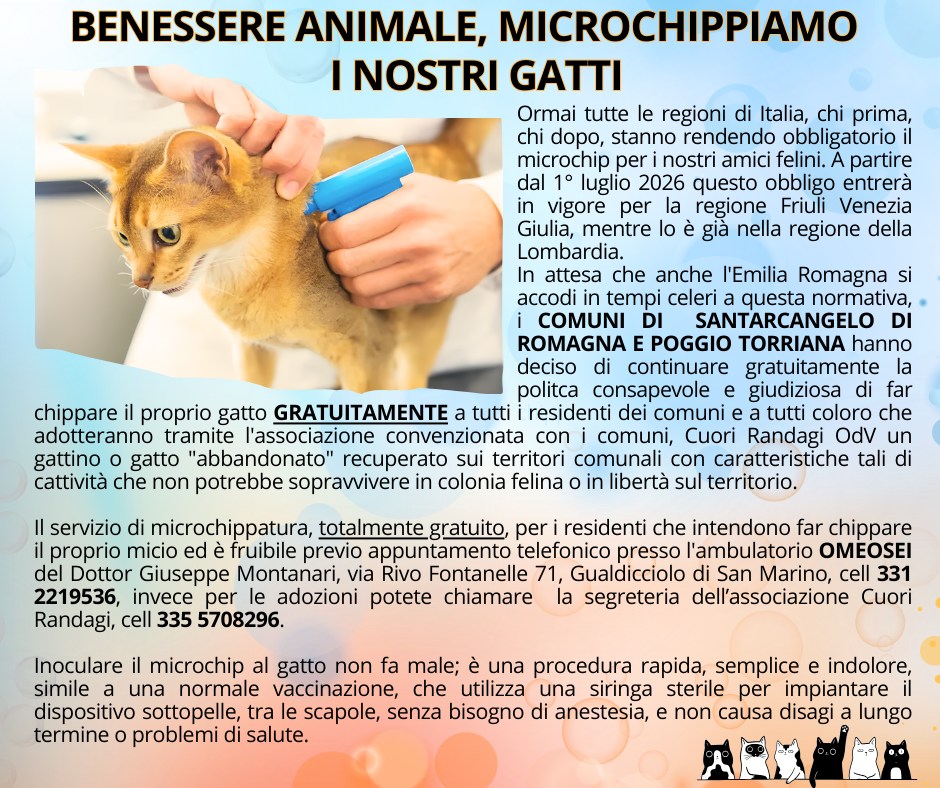 descrizione immagine