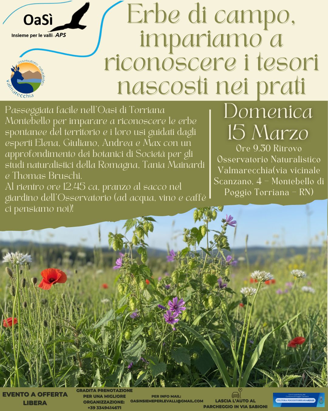 descrizione immagine