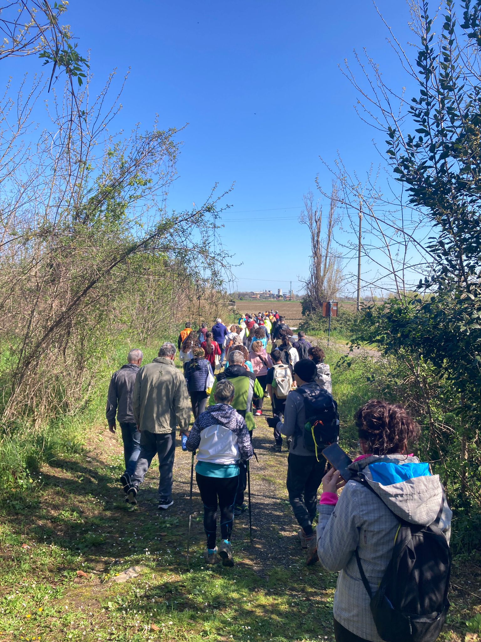 descrizione immagine