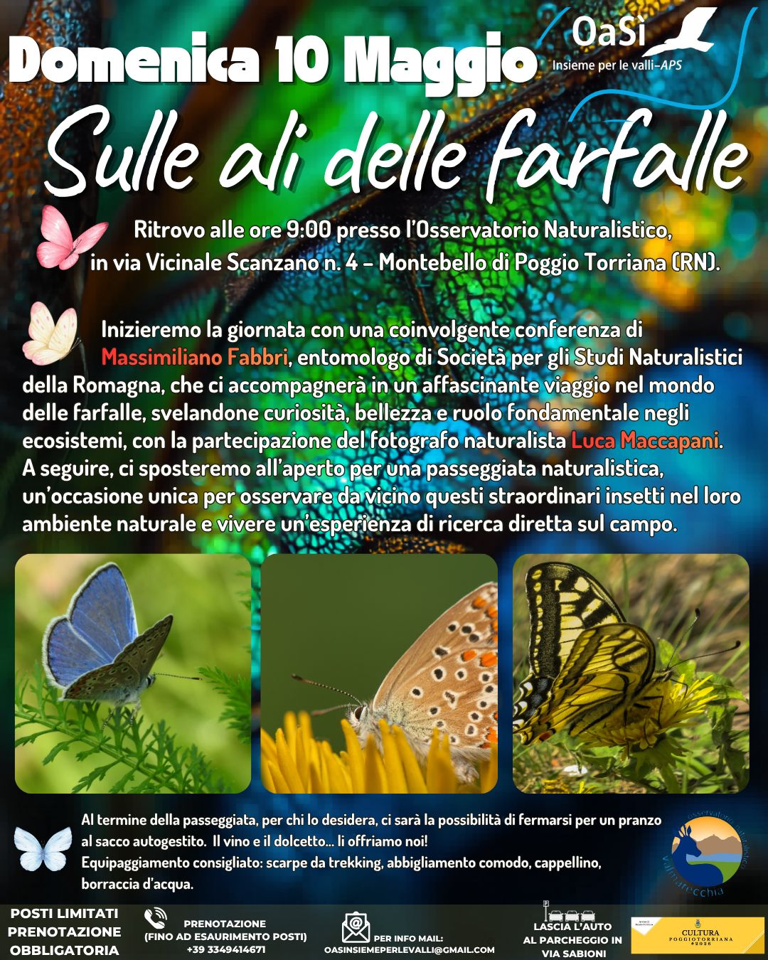 descrizione immagine